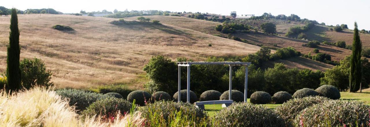 Casale Sterpeti Bed & Breakfast Magliano in Toscana Luaran gambar