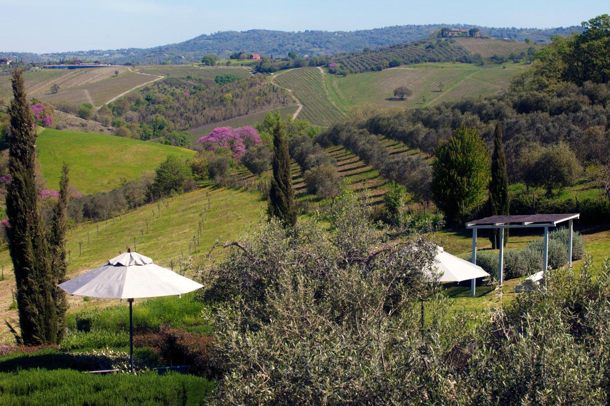 Casale Sterpeti Bed & Breakfast Magliano in Toscana Luaran gambar