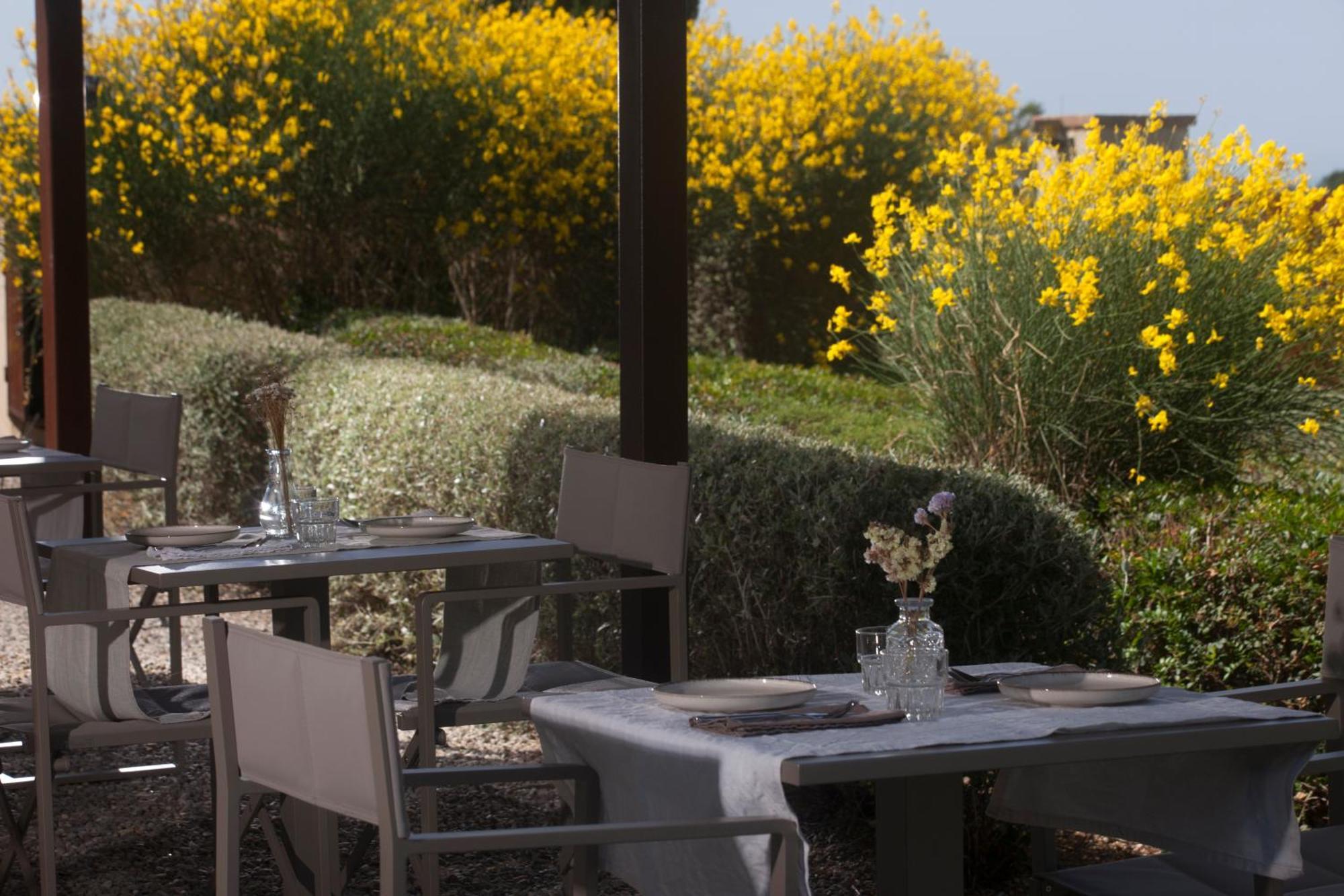 Casale Sterpeti Bed & Breakfast Magliano in Toscana Luaran gambar