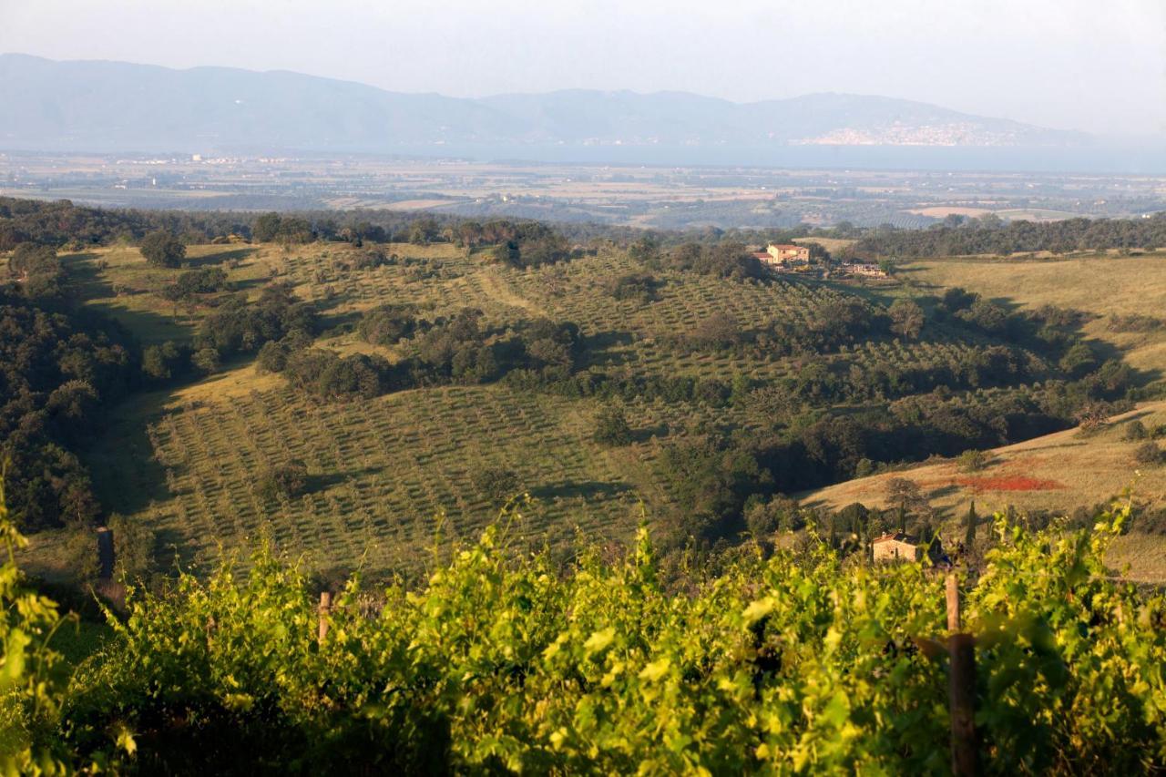 Casale Sterpeti Bed & Breakfast Magliano in Toscana Luaran gambar